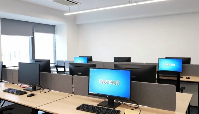 项目选型中的技术适配与资源匹配